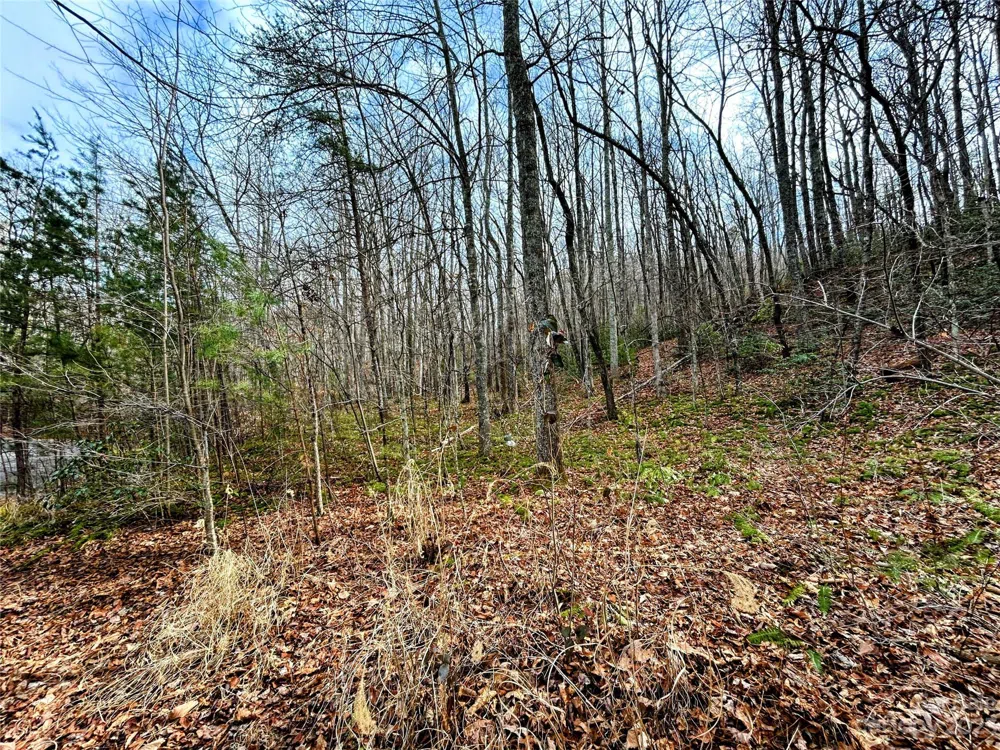 Lot 7 Azalea Way Saluda, NC 28773