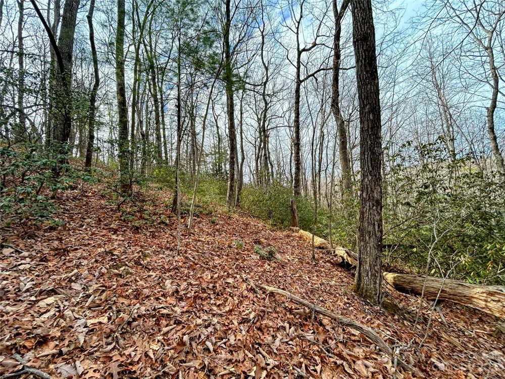 Lot 7 Azalea Way Saluda, NC 28773