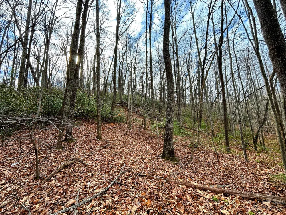 Lot 7 Azalea Way Saluda, NC 28773