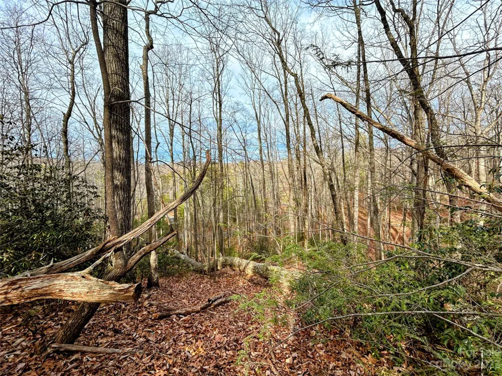 Lot 7 Azalea Way Saluda, NC 28773