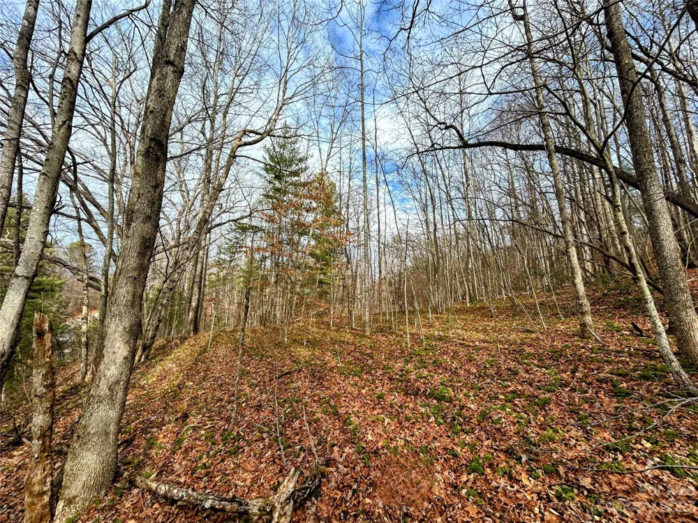 Lot 8 Azalea Way Saluda, NC 28773