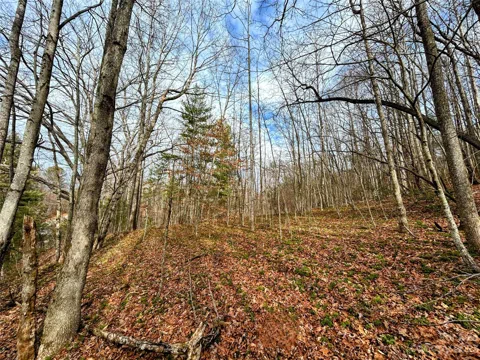 Lot 8 Azalea Way