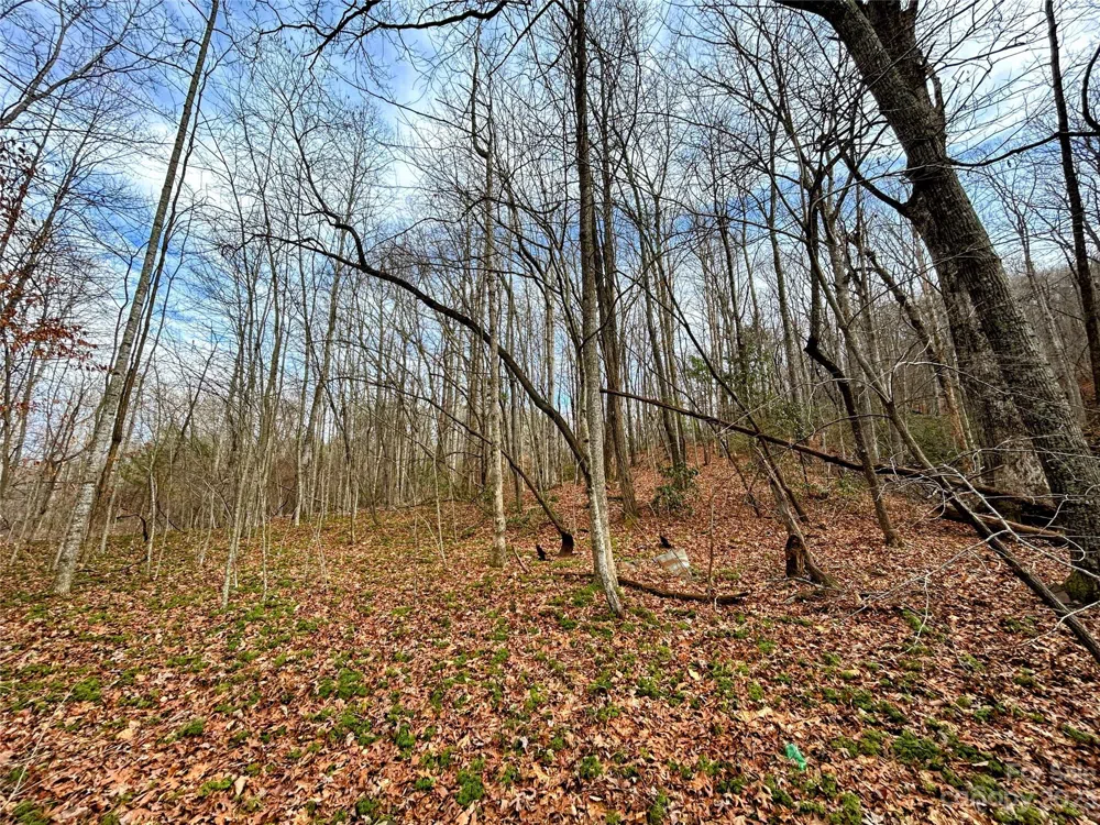 Lot 8 Azalea Way Saluda, NC 28773