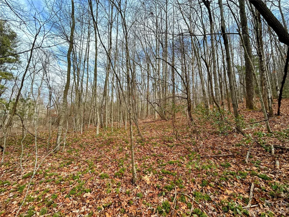Lot 8 Azalea Way Saluda, NC 28773