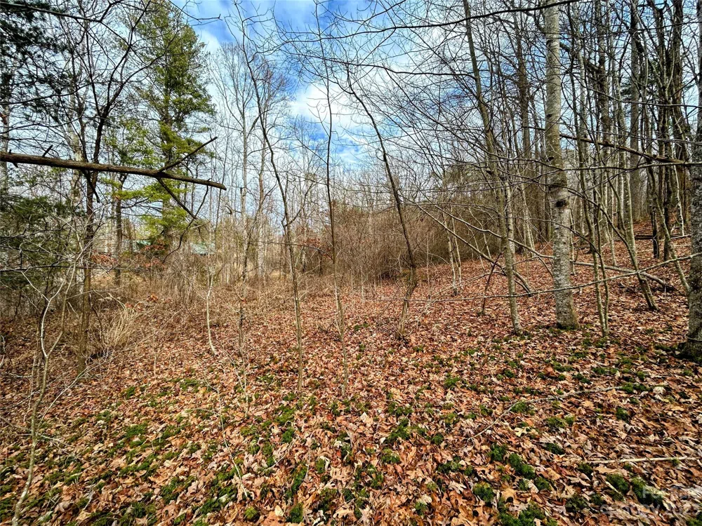Lot 8 Azalea Way Saluda, NC 28773