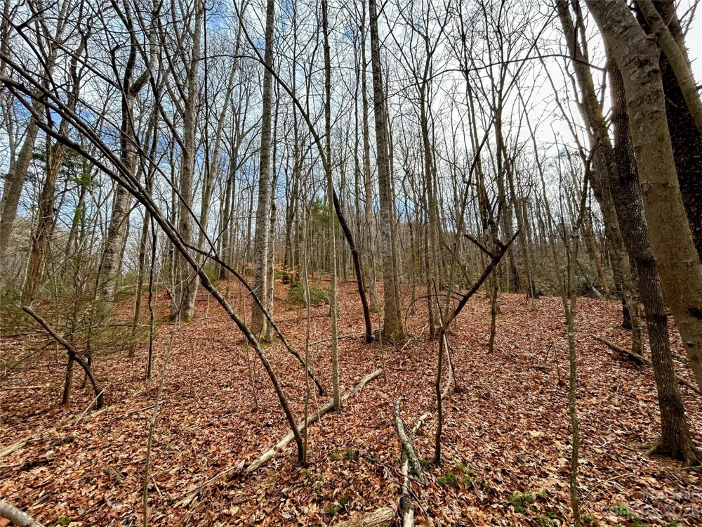 Lot 8 Azalea Way Saluda, NC 28773