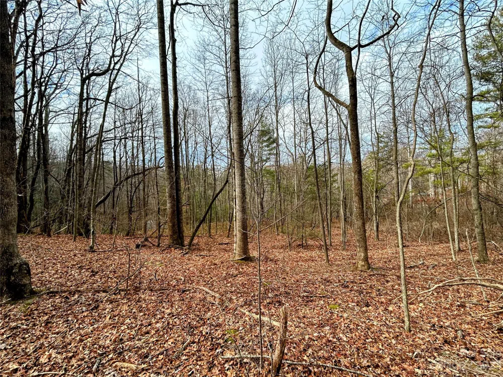 Lot 8 Azalea Way Saluda, NC 28773