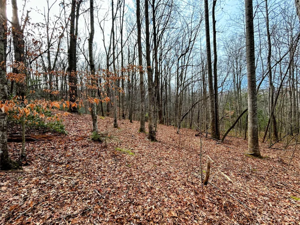 Lot 8 Azalea Way Saluda, NC 28773