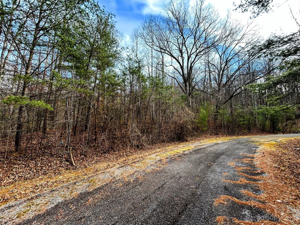 Lot 8 Azalea Way Saluda, NC 28773