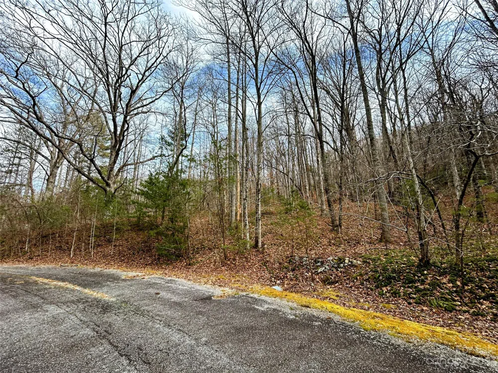 Lot 8 Azalea Way Saluda, NC 28773