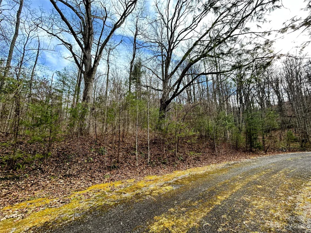 Lot 8 Azalea Way Saluda, NC 28773