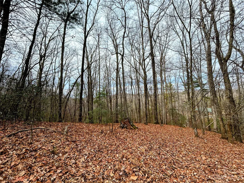 Lot 11 Rhododendron Drive Saluda, NC 28773
