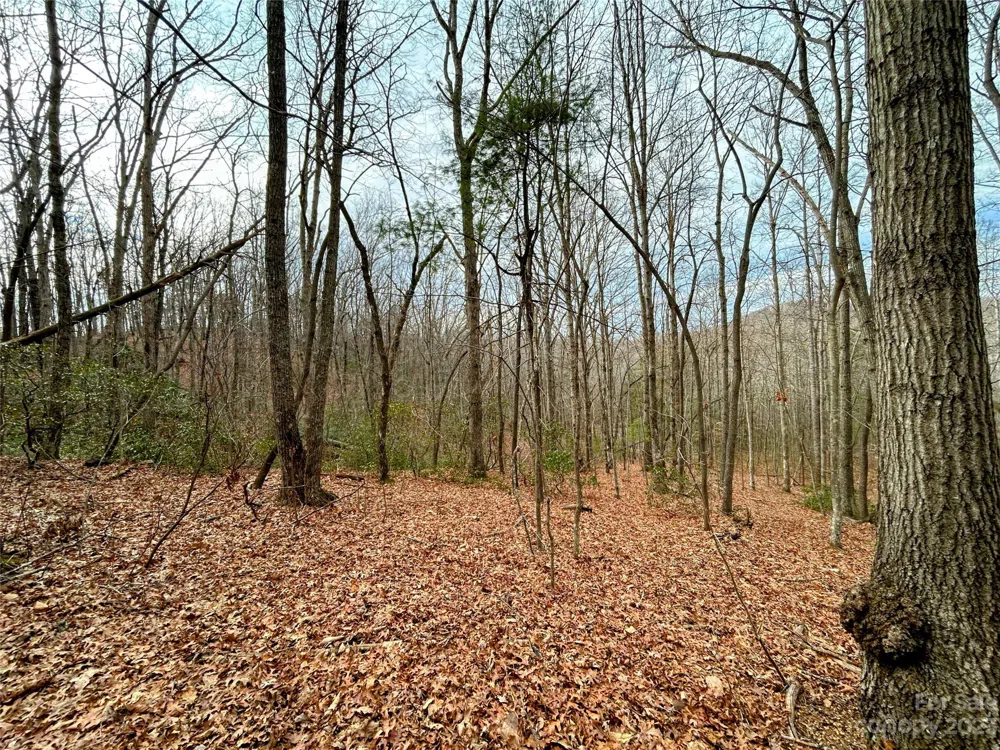 Lot 11 Rhododendron Drive Saluda, NC 28773