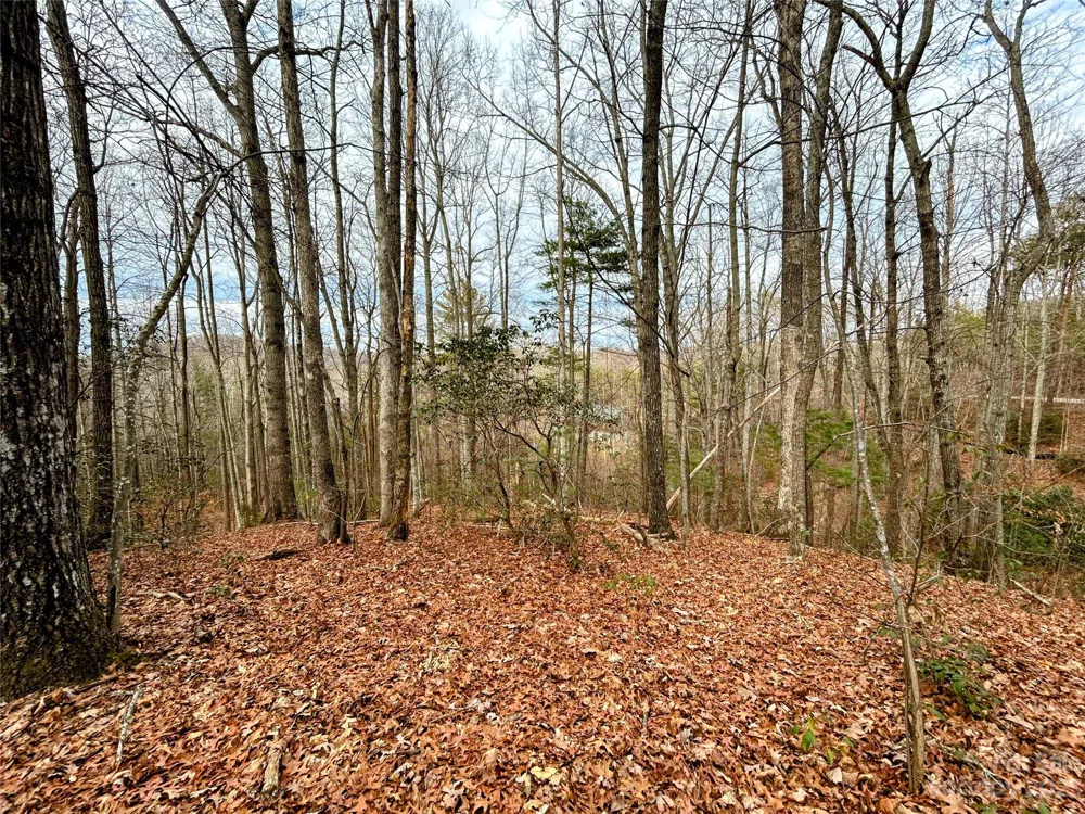 Lot 11 Rhododendron Drive Saluda, NC 28773
