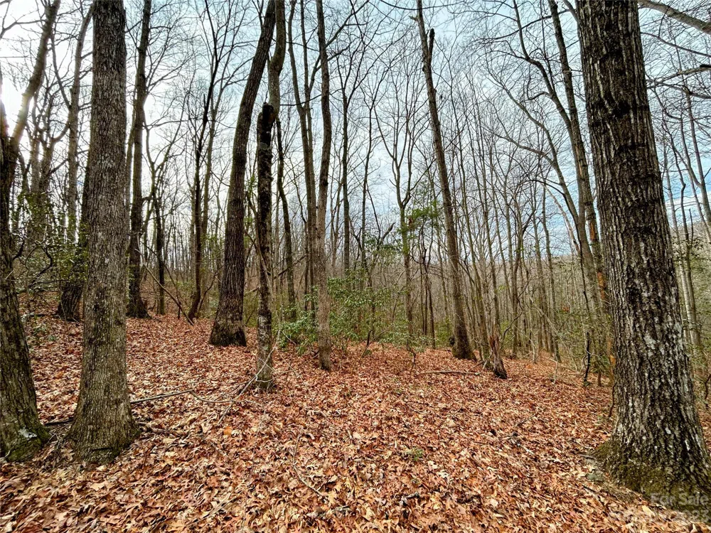 Lot 11 Rhododendron Drive Saluda, NC 28773