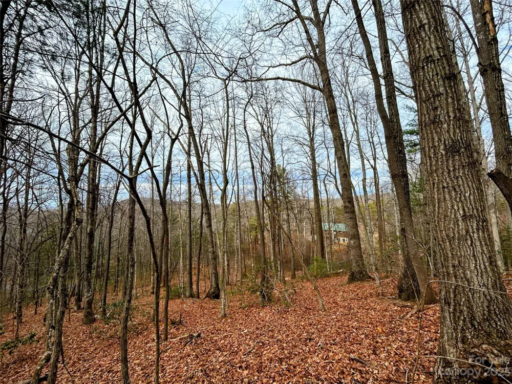 Lot 11 Rhododendron Drive Saluda, NC 28773