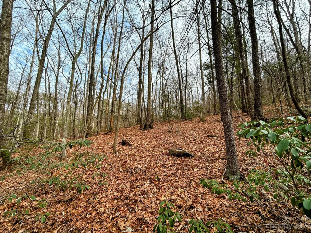Lot 11 Rhododendron Drive Saluda, NC 28773