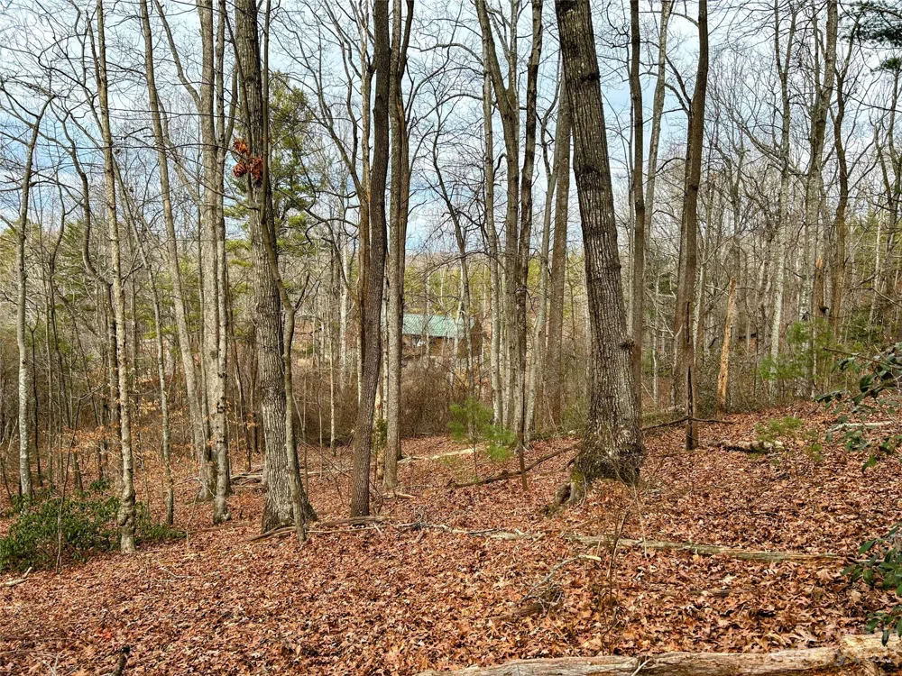 Lot 11 Rhododendron Drive Saluda, NC 28773