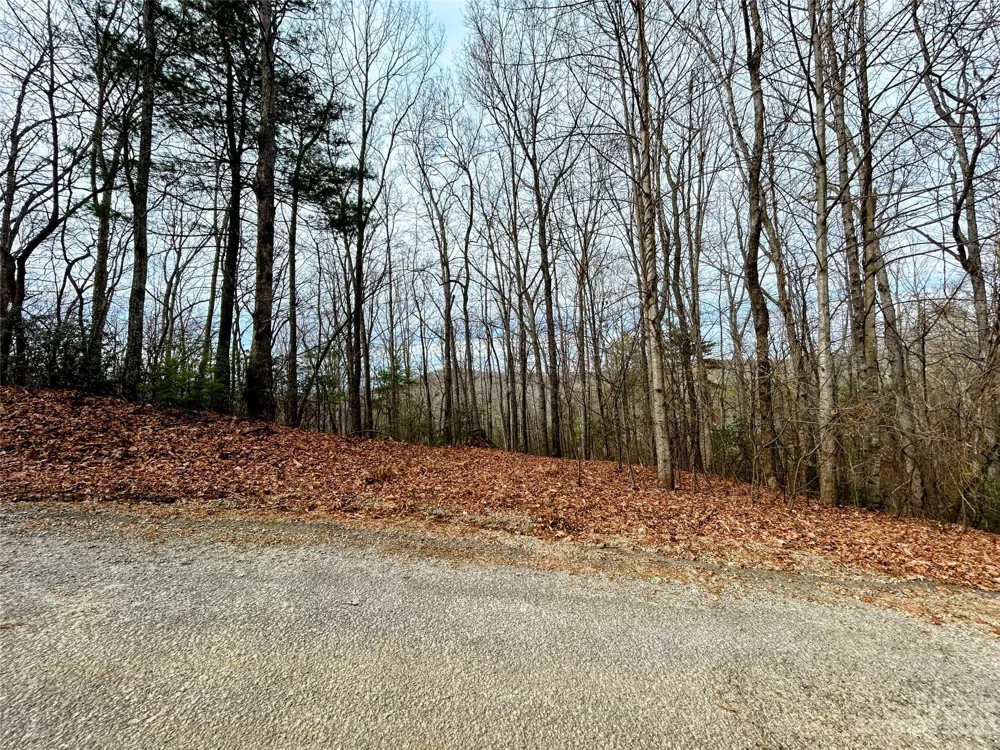 Lot 11 Rhododendron Drive Saluda, NC 28773