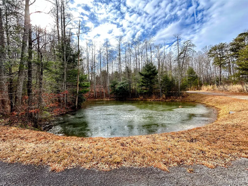 Lot 11 Rhododendron Drive Saluda, NC 28773