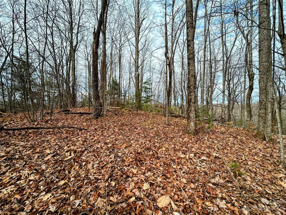 Lot 12 Rhododendron Drive Saluda, NC 28773