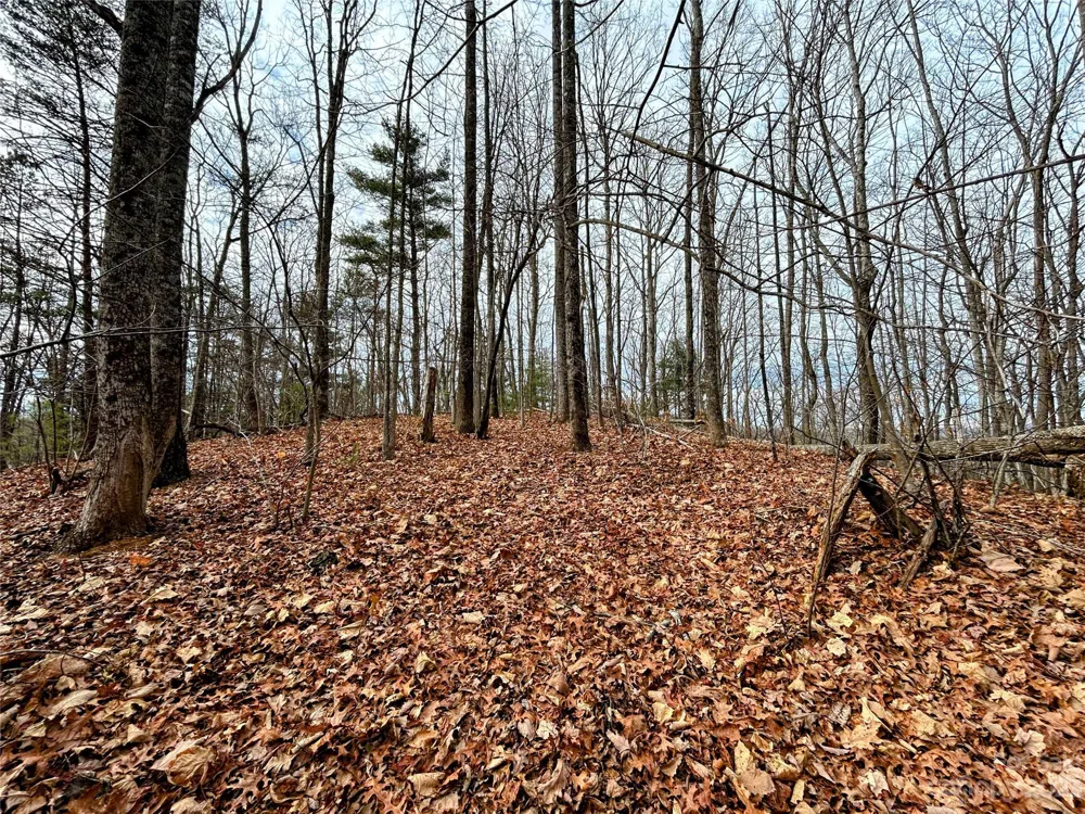 Lot 12 Rhododendron Drive Saluda, NC 28773