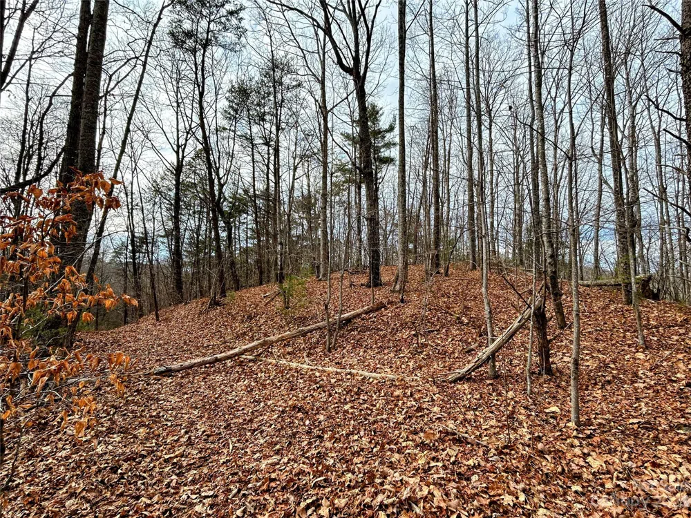 Lot 12 Rhododendron Drive Saluda, NC 28773