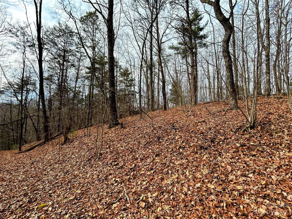 Lot 12 Rhododendron Drive Saluda, NC 28773