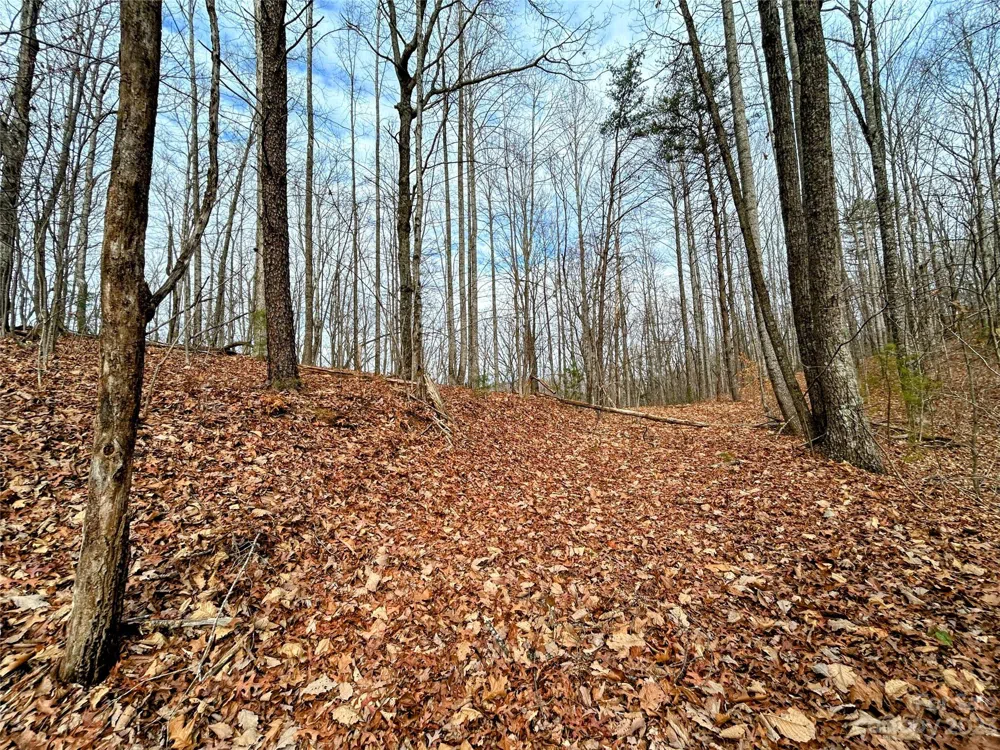 Lot 12 Rhododendron Drive Saluda, NC 28773