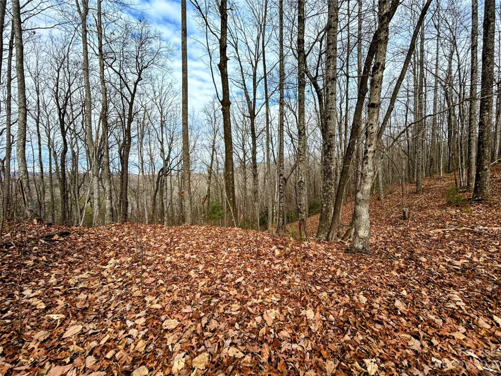 Lot 12 Rhododendron Drive Saluda, NC 28773