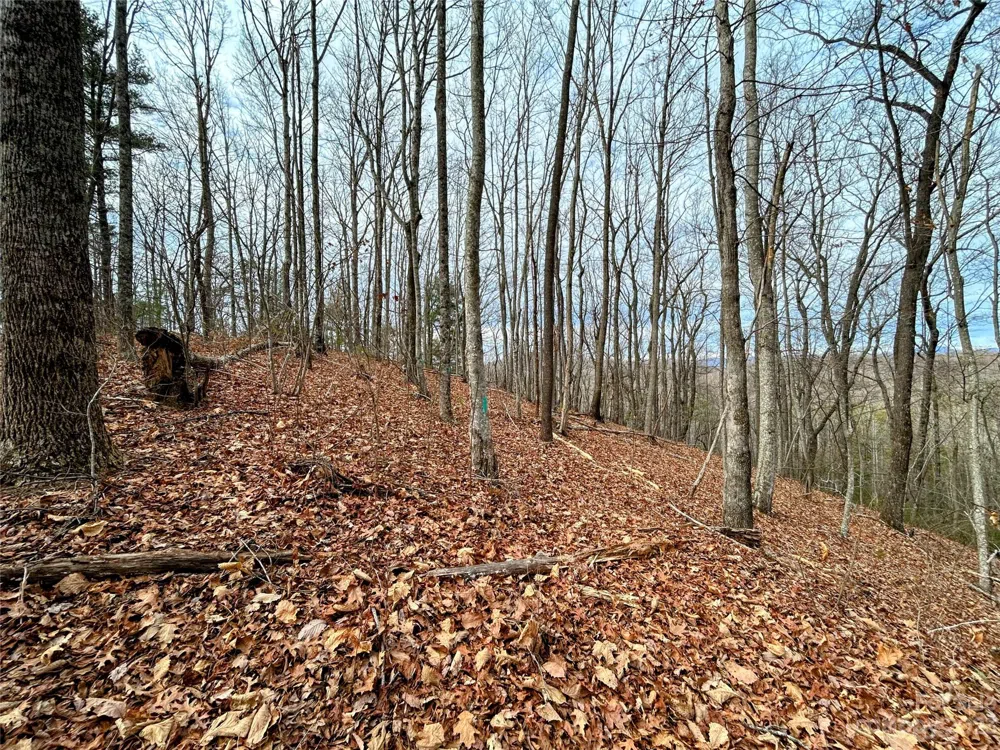 Lot 12 Rhododendron Drive Saluda, NC 28773