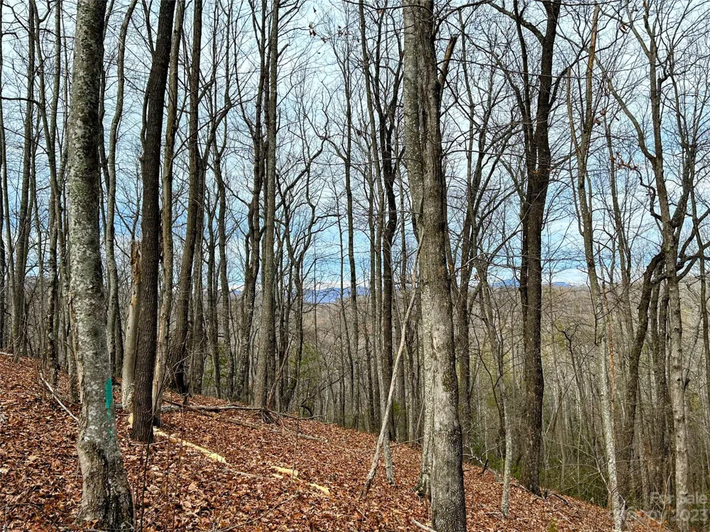 Lot 12 Rhododendron Drive Saluda, NC 28773
