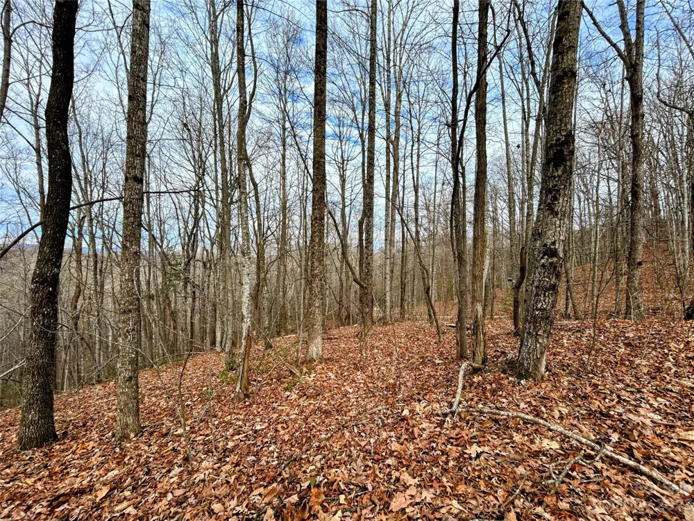 Lot 12 Rhododendron Drive Saluda, NC 28773