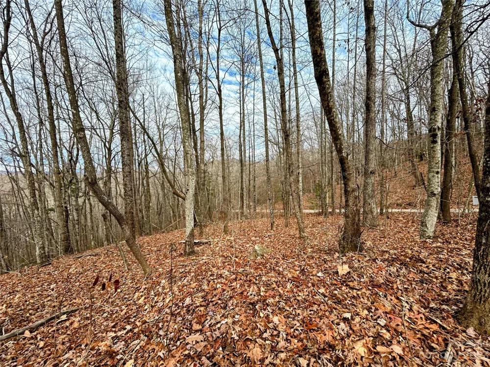 Lot 12 Rhododendron Drive Saluda, NC 28773