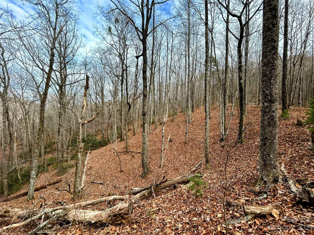 Lot 12 Rhododendron Drive Saluda, NC 28773