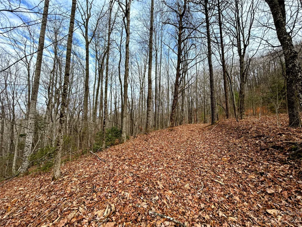 Lot 12 Rhododendron Drive Saluda, NC 28773