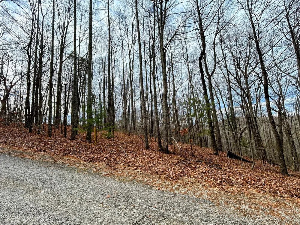 Lot 12 Rhododendron Drive Saluda, NC 28773