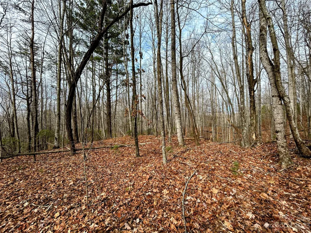 Lot 14 Rhododendron Drive Saluda, NC 28773
