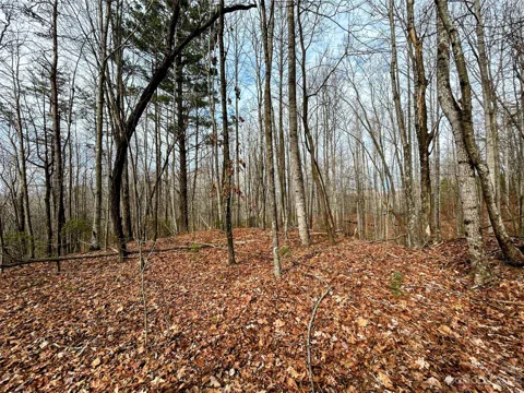 Lot 14 Rhododendron Drive