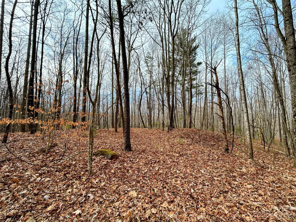 Lot 14 Rhododendron Drive Saluda, NC 28773