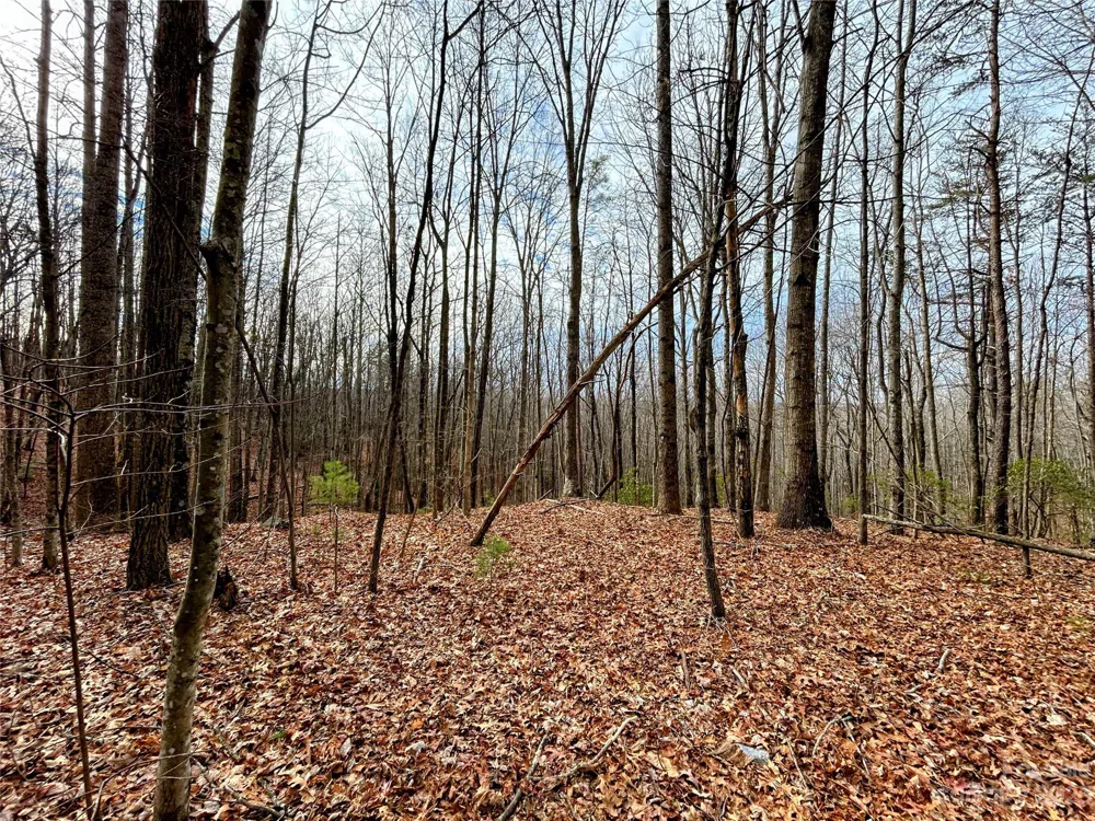 Lot 14 Rhododendron Drive Saluda, NC 28773