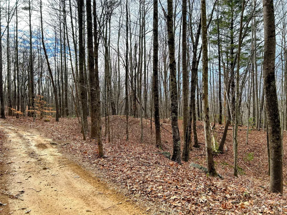 Lot 14 Rhododendron Drive Saluda, NC 28773