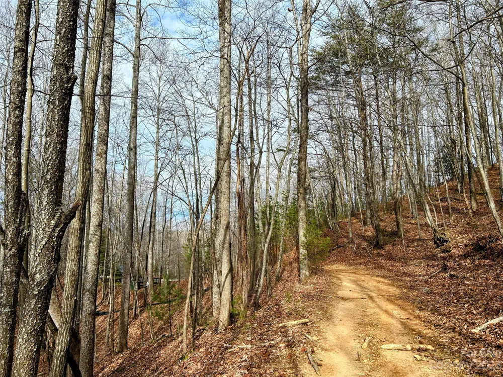 Lot 14 Rhododendron Drive Saluda, NC 28773