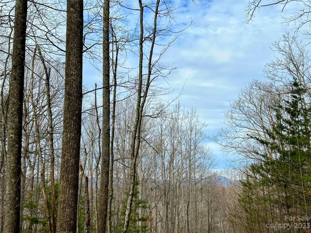 Lot 14 Rhododendron Drive Saluda, NC 28773