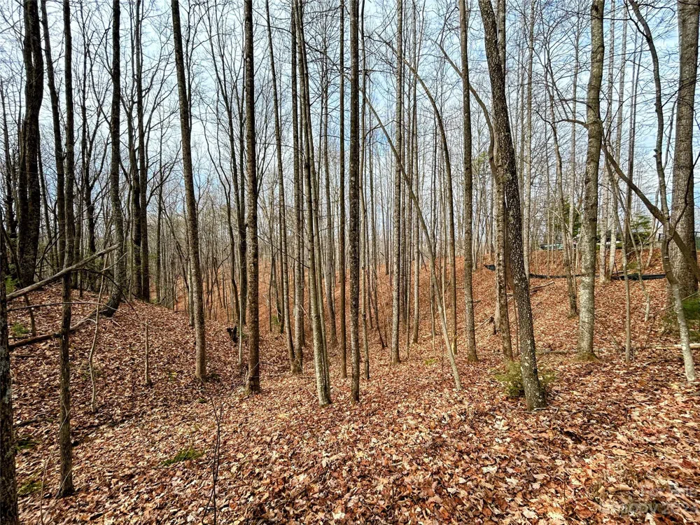 Lot 14 Rhododendron Drive Saluda, NC 28773