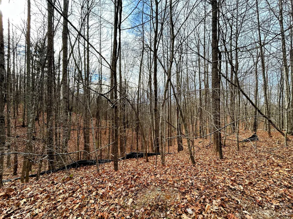 Lot 14 Rhododendron Drive Saluda, NC 28773
