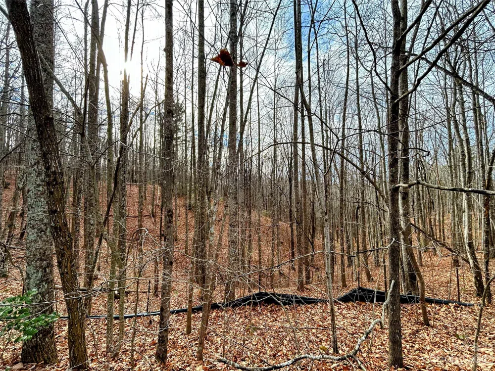 Lot 14 Rhododendron Drive Saluda, NC 28773