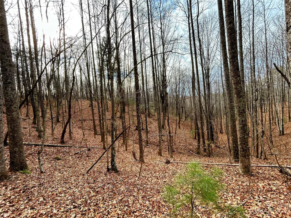 Lot 14 Rhododendron Drive Saluda, NC 28773