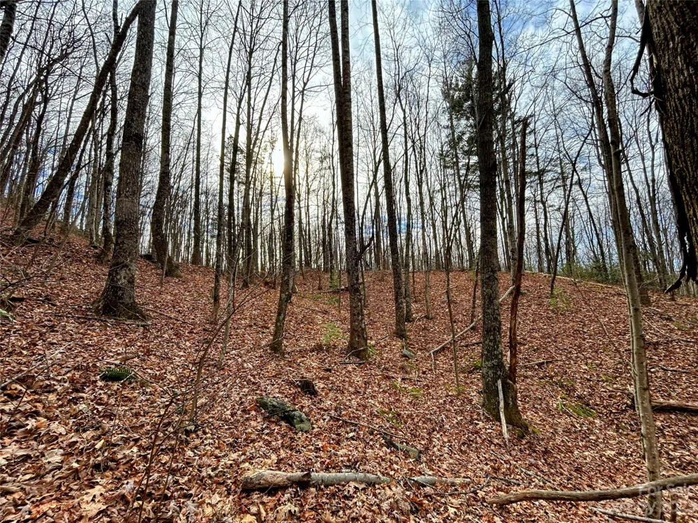 Lot 14 Rhododendron Drive Saluda, NC 28773