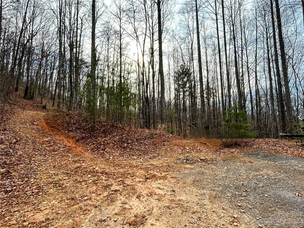 Lot 14 Rhododendron Drive Saluda, NC 28773